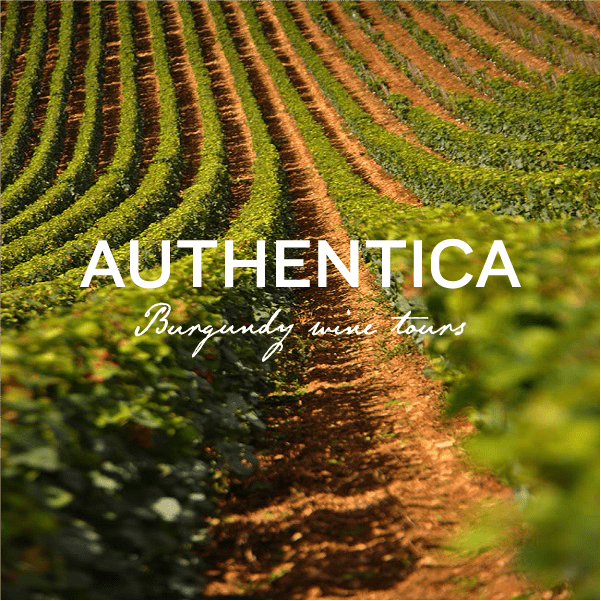 authentica-tours